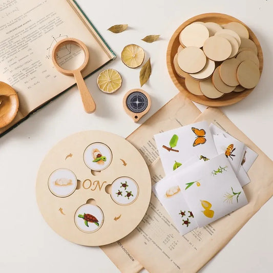 Montessori Lebenszyklus Holzspiel – Lernen, Staunen und Verstehen